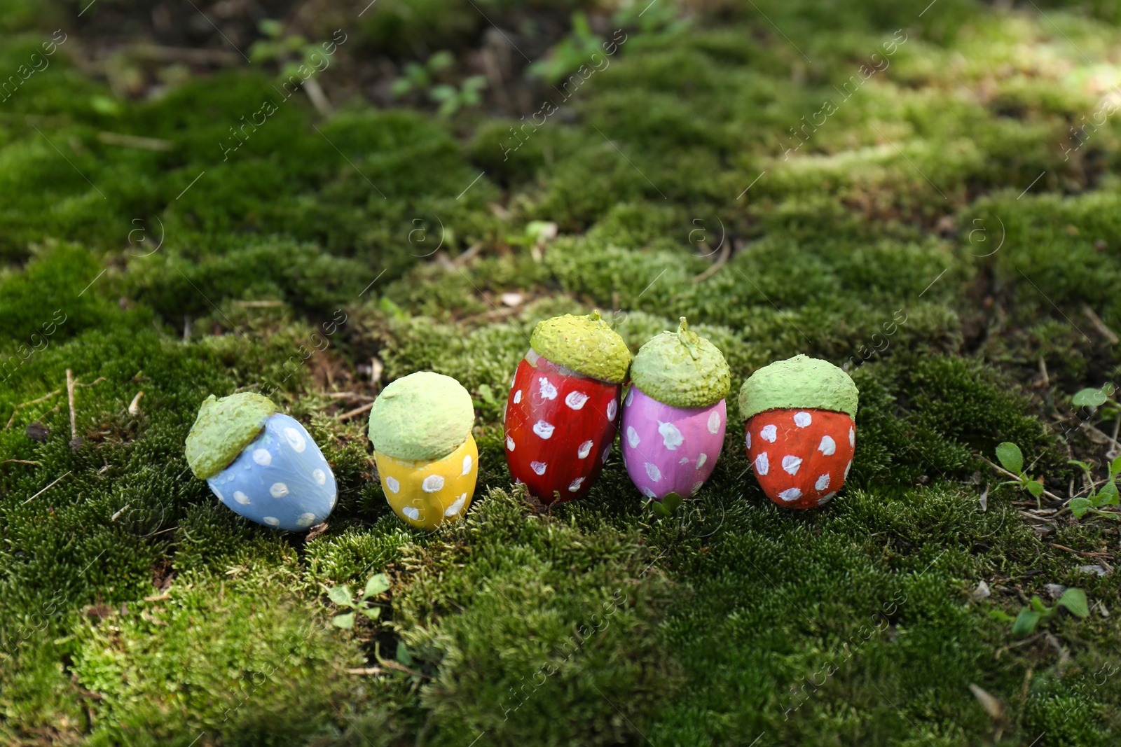 Photo of Colorful painted acorns with polka dot pattern on green moss outdoors