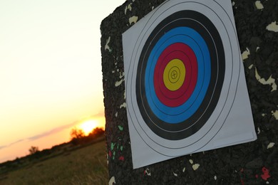Photo of Archery target in field at sunset, closeup