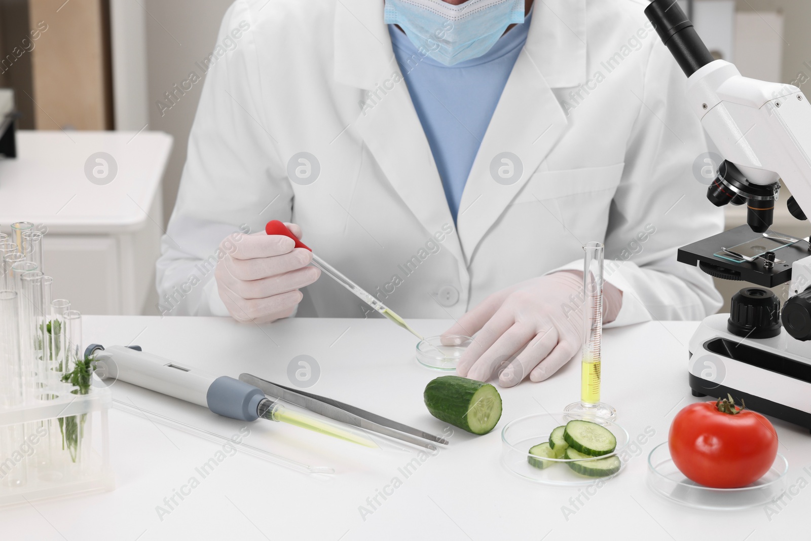 Photo of Quality control. Food inspector checking safety of products in laboratory, closeup