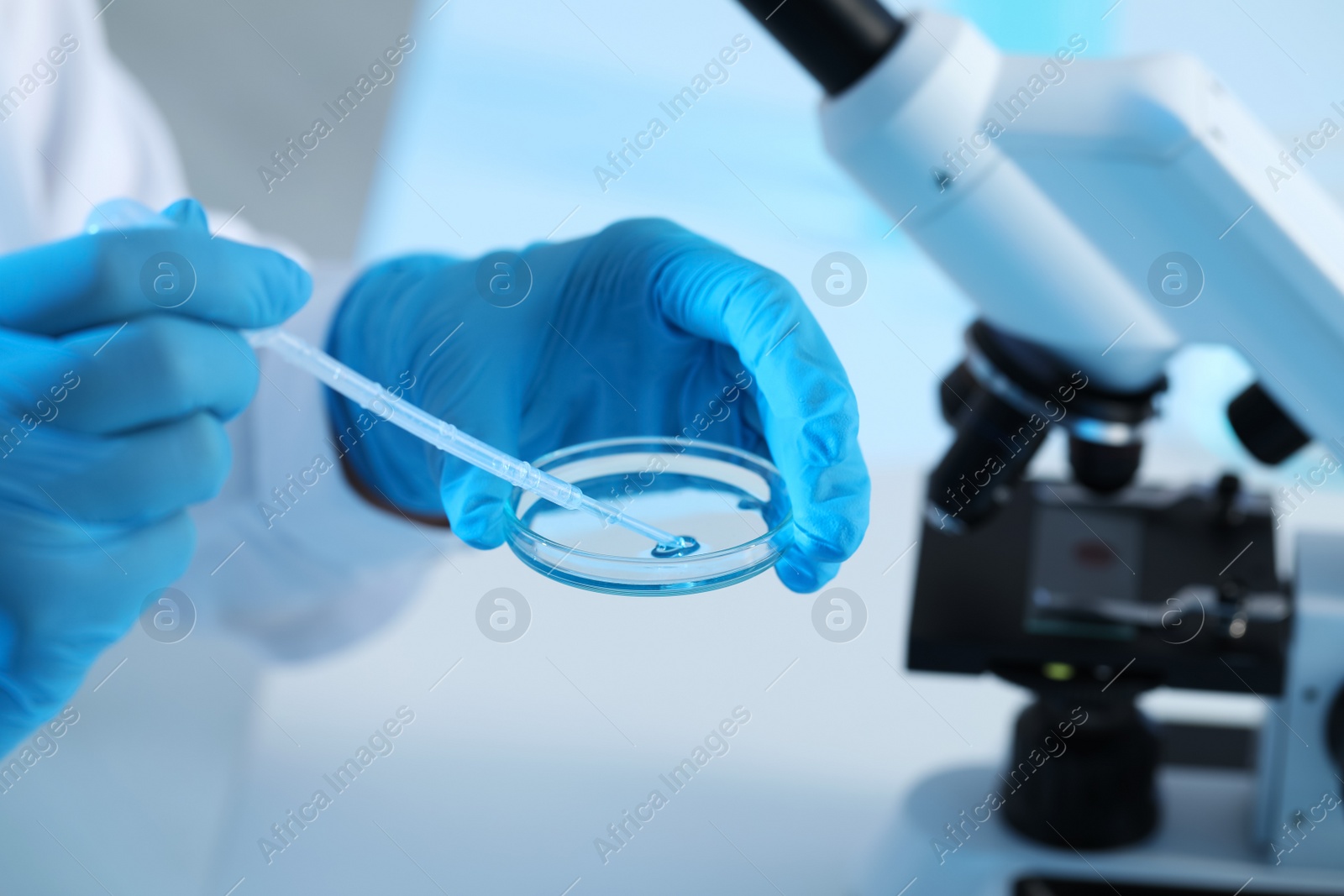 Photo of Scientist dripping sample into Petri dish at table, closeup. Medical research