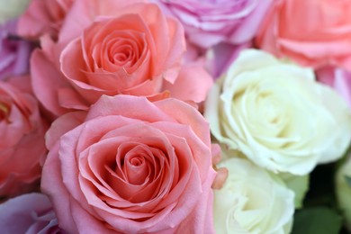 Photo of Beautiful bouquet of aromatic roses as background, closeup