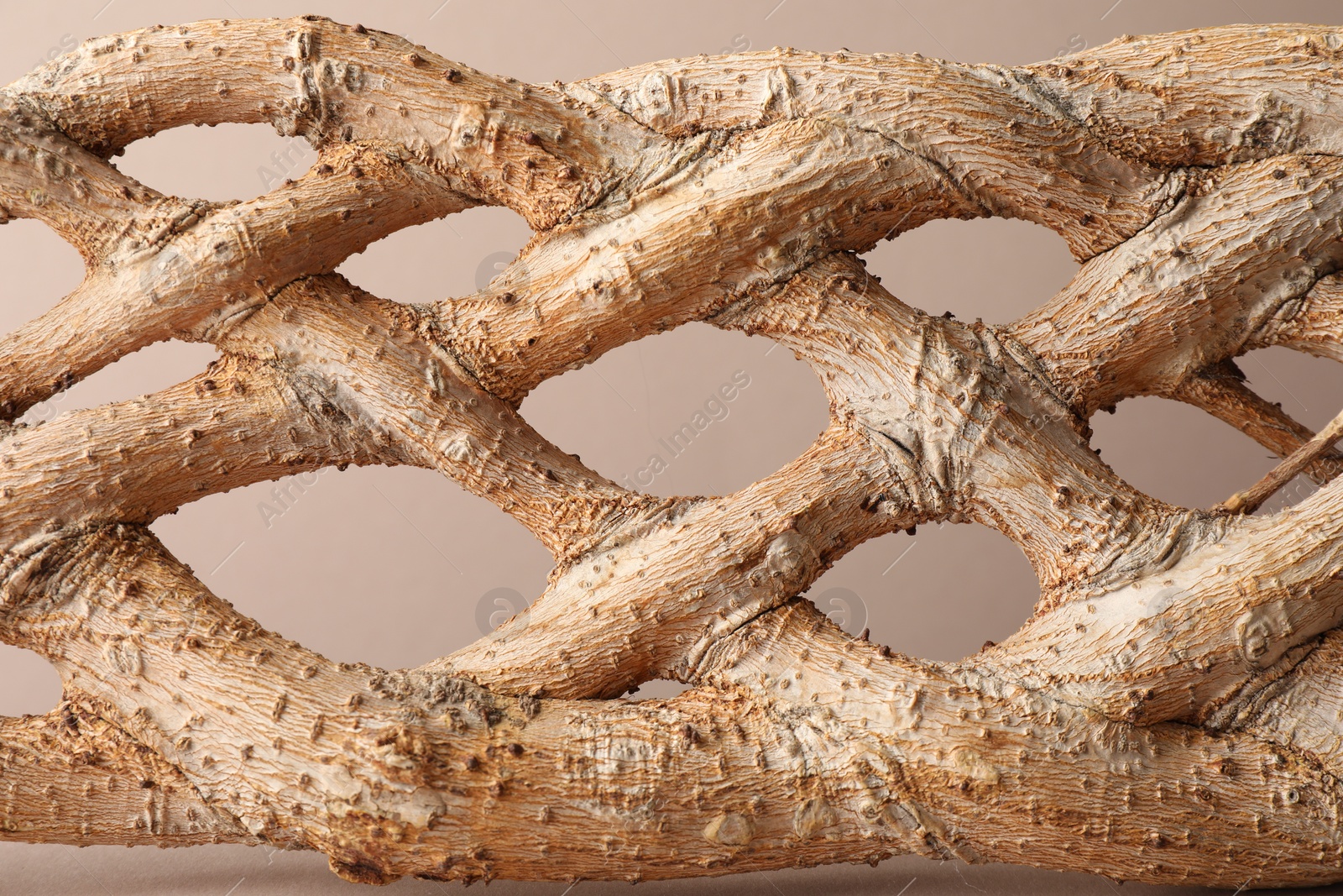 Photo of Presentation for product. Braided tree trunk on beige background, closeup