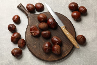 Fresh edible sweet chestnuts and knife on grey table, flat lay