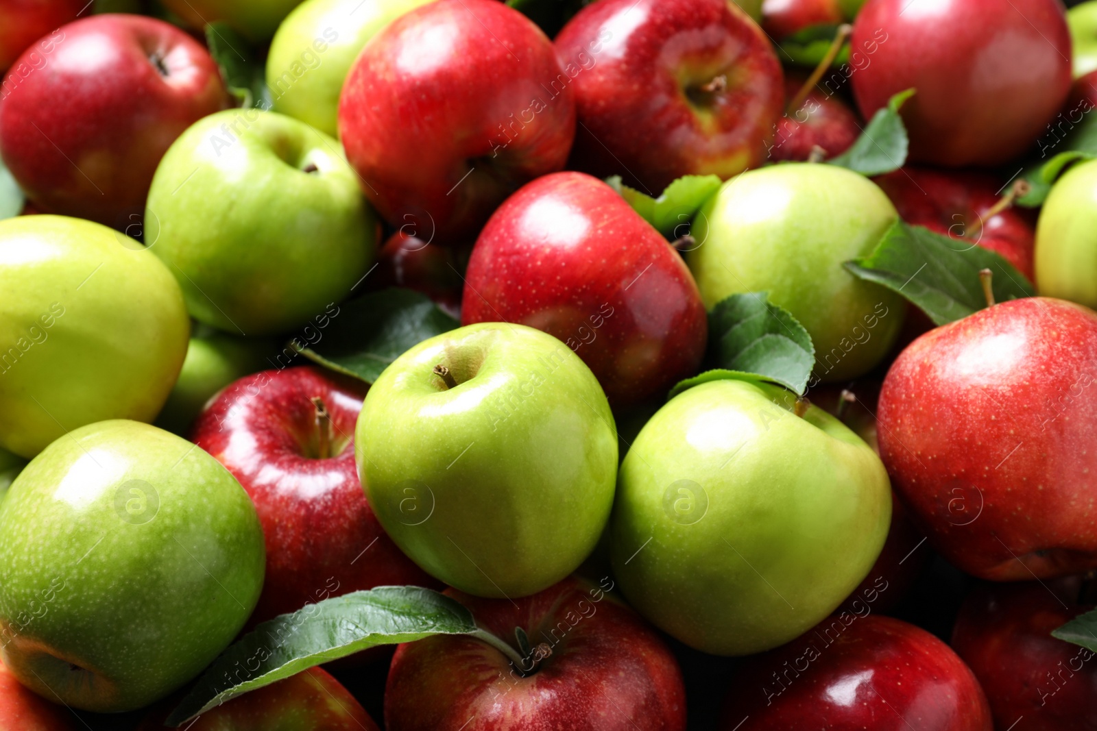 Photo of Pile of tasty ripe apples with leaves as background, closeup