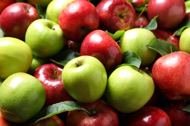 Pile of tasty ripe apples with leaves as background, closeup