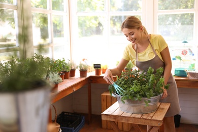 Photo of Young woman taking care of home plants at wooden table in shop