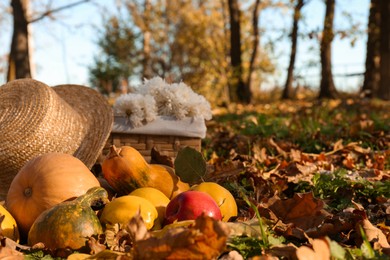 Photo of Ripe pumpkins, fruits, straw hat and flowers on fallen leaves in autumn park. Space for text