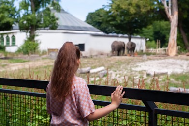 Photo of Little girl watching wild elephants in zoo, back view