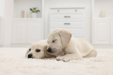 Photo of Cute little puppies lying on white carpet at home