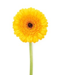 Photo of Beautiful yellow gerbera flower isolated on white, top view