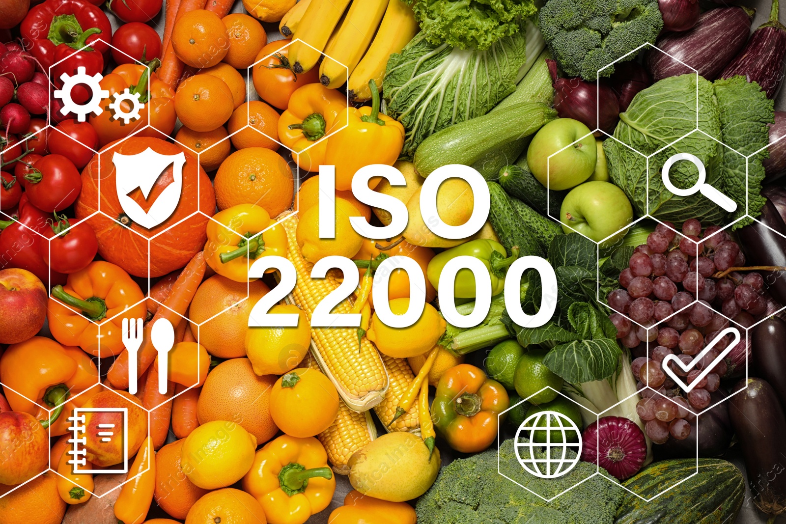 Image of ISO 22000 - Food safety management. Assortment of organic fresh fruits and vegetables as background, top view