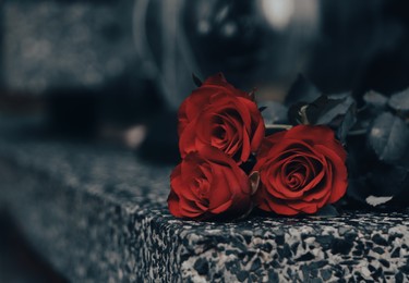 Photo of Red roses on grey granite tombstone outdoors, closeup. Space for text