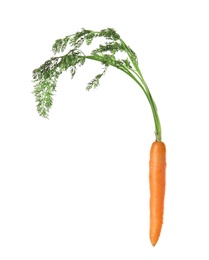 Photo of Ripe carrot on white background. Healthy diet