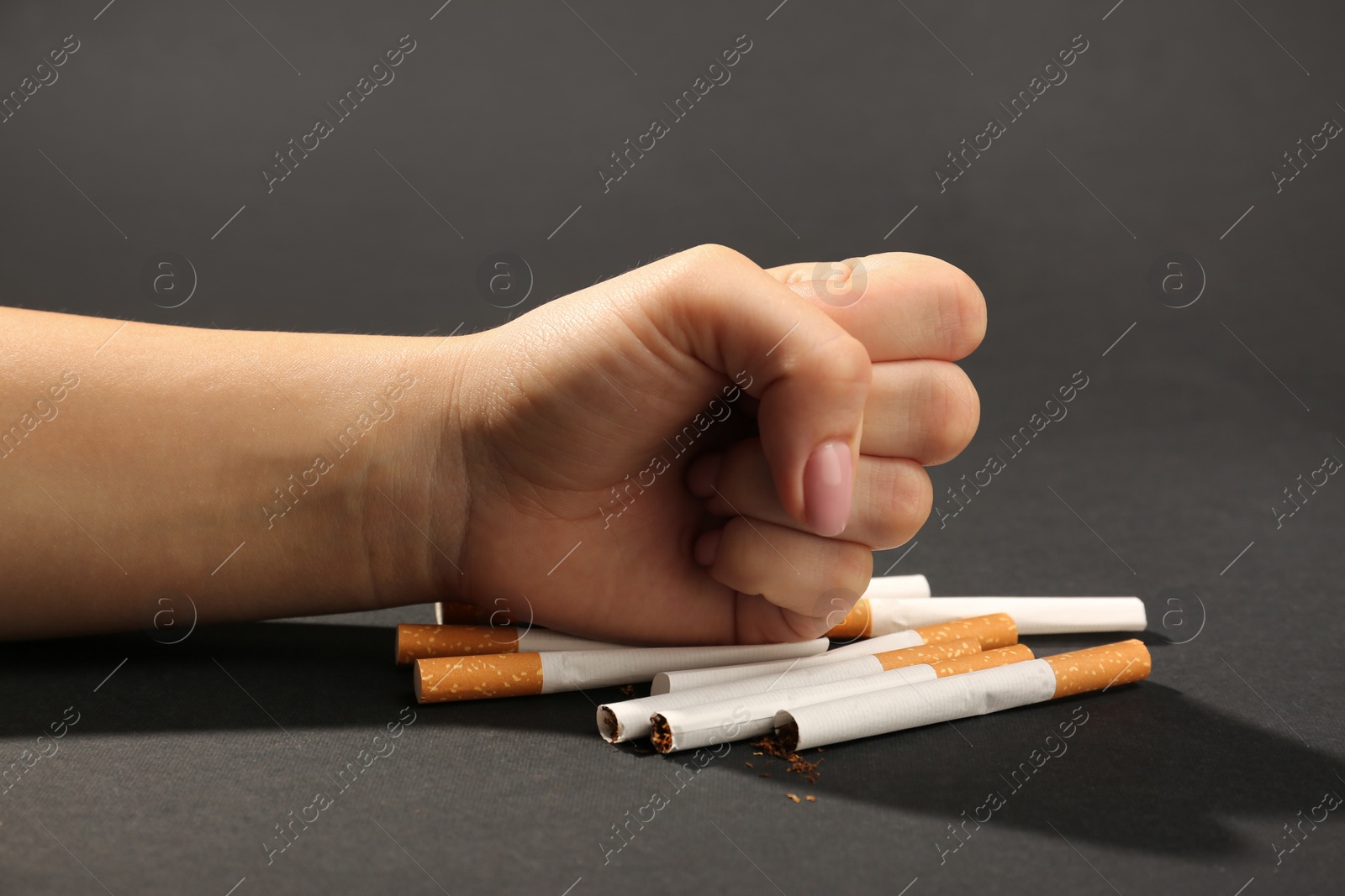 Photo of Woman smashing cigarettes on grey background, closeup. No smoking concept