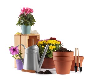 Photo of Beautiful flowers, pots and gardening tools isolated on white