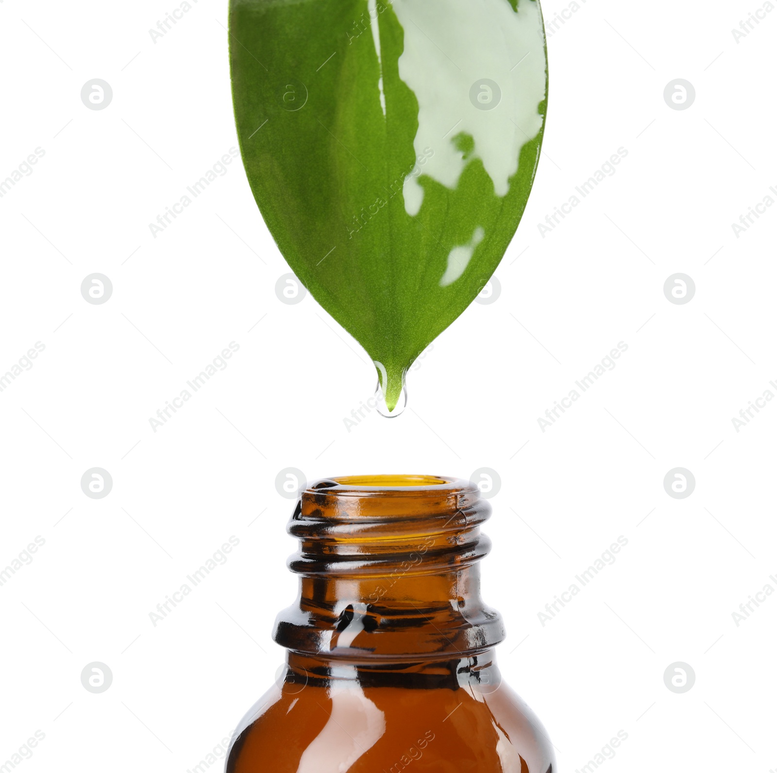 Photo of Essential oil drop falling from green leaf into glass bottle on white background, closeup