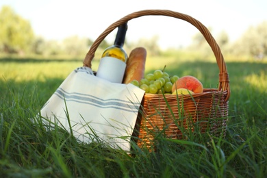 Picnic basket with snacks and bottle of wine on green grass in park