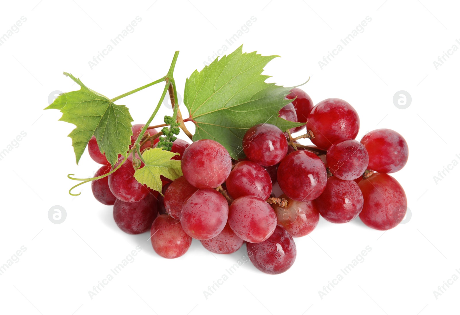 Photo of Cluster of ripe red grapes with green leaves on white background