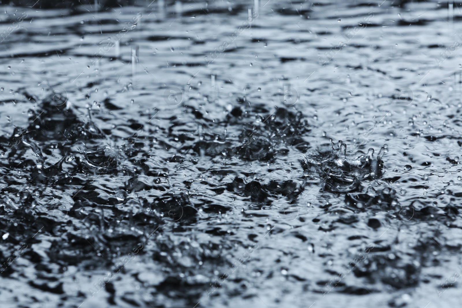 Photo of Heavy rain falling down into puddle outdoors