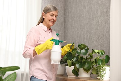 Happy housewife spraying green houseplants at home