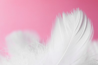 Photo of Fluffy bird feathers on pink background, closeup