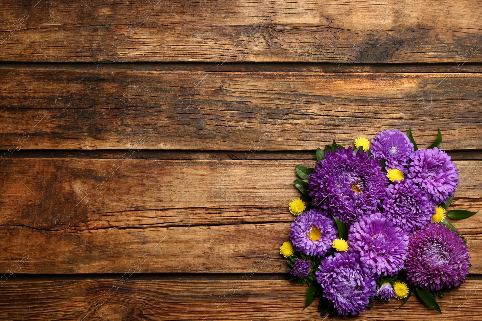 Photo of Beautiful asters and space for text on wooden background, flat lay. Autumn flowers