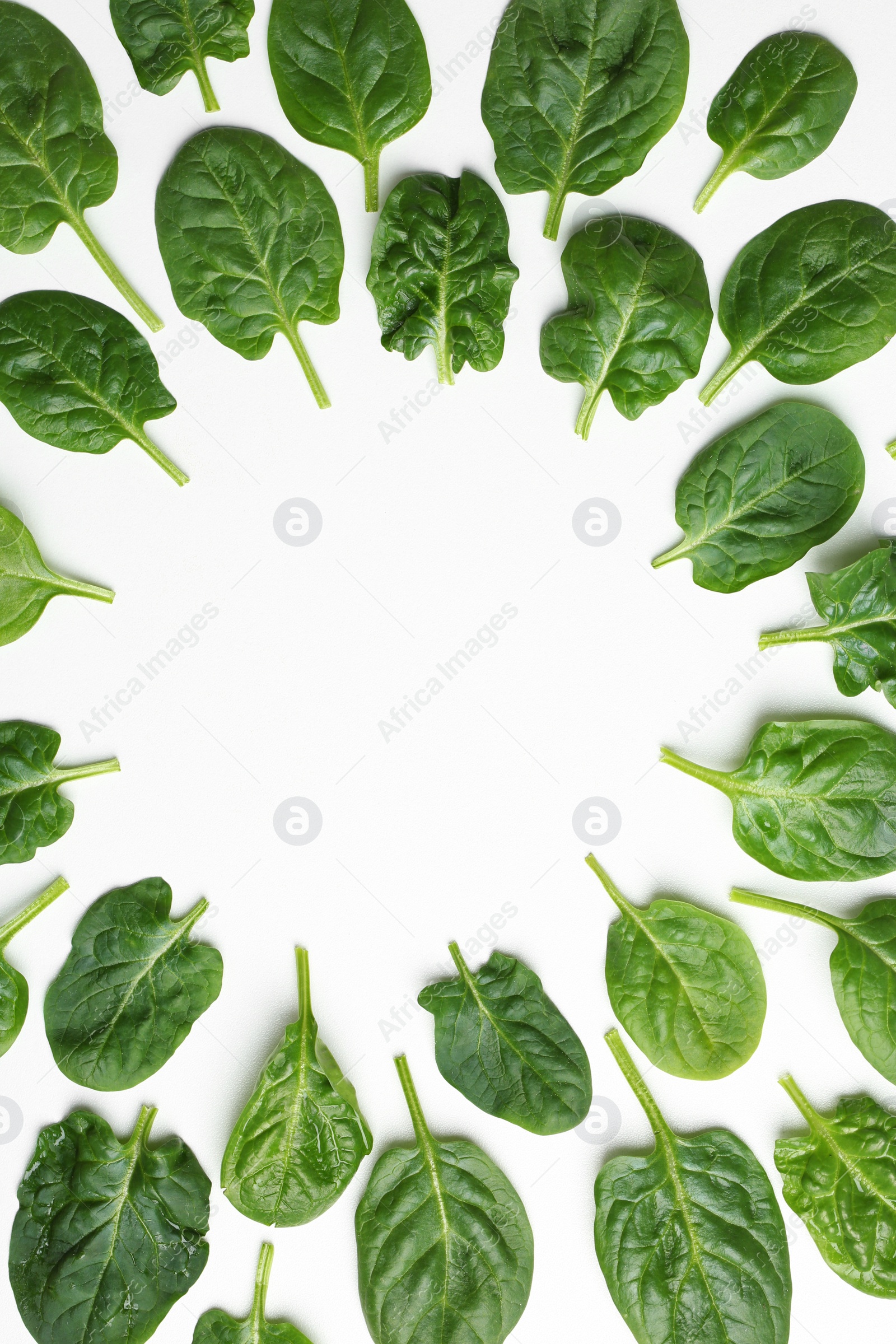 Photo of Frame made of spinach leaves on white background, top view. Space for text