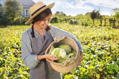 Woman harvesting fresh ripe cabbages on farm