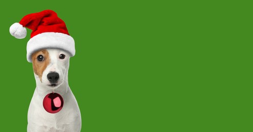Image of Adorable dog in Santa hat holding red Christmas ball on green background. Banner design with space for text