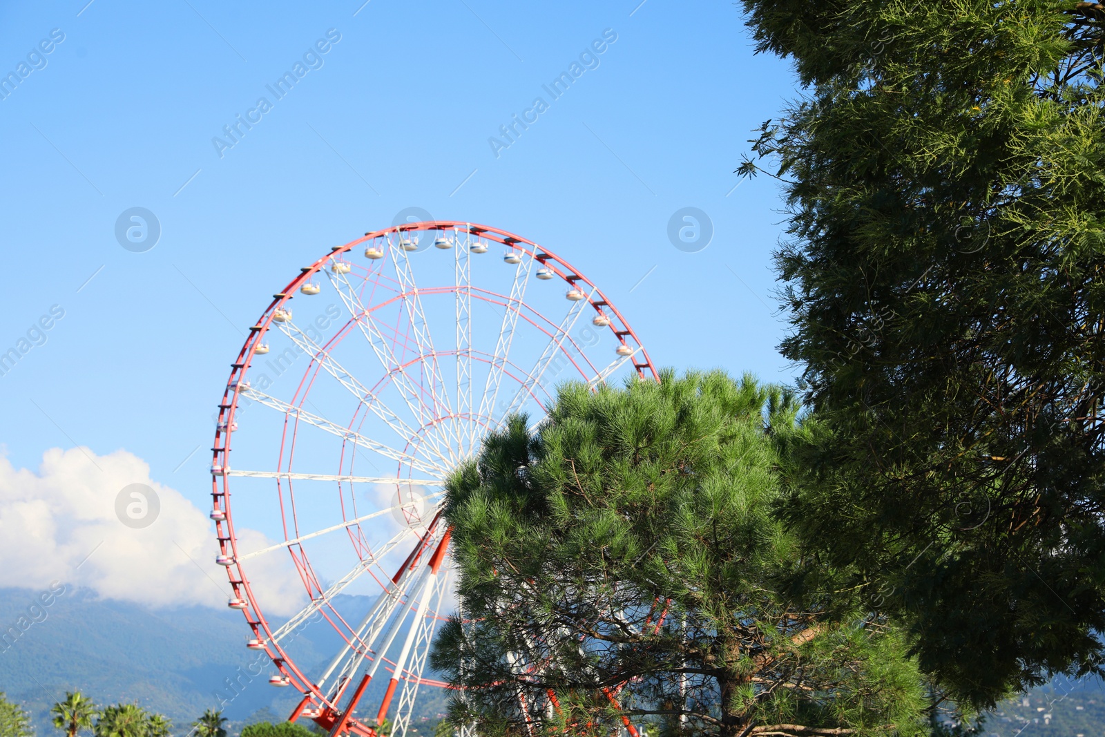 Photo of Beautiful large Ferris wheel near trees outdoors