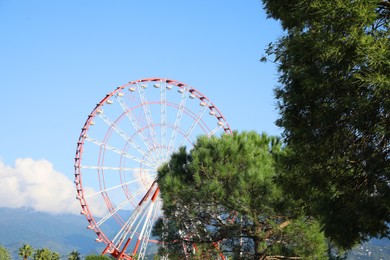 Beautiful large Ferris wheel near trees outdoors