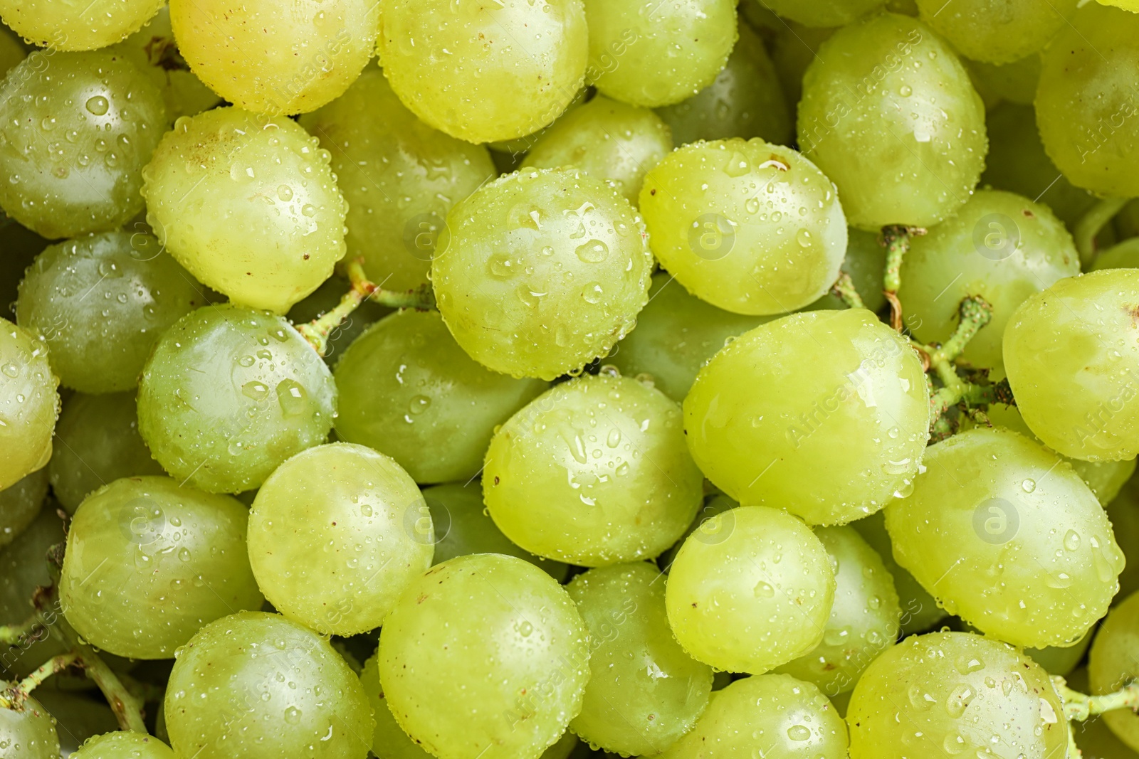 Photo of Fresh ripe juicy white grapes as background, closeup view