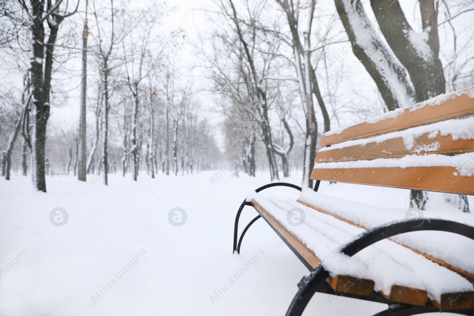 Photo of Bench covered with snow outdoors. Space for text