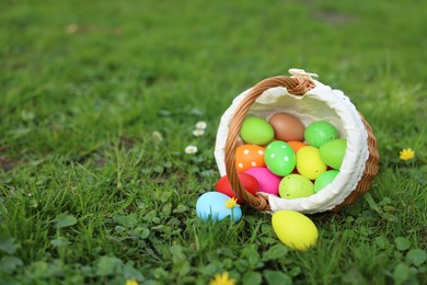 Photo of Easter celebration. Painted eggs in wicker basket on green grass, space for text