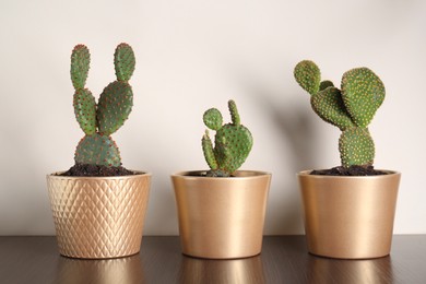 Photo of Many different beautiful cacti on wooden table