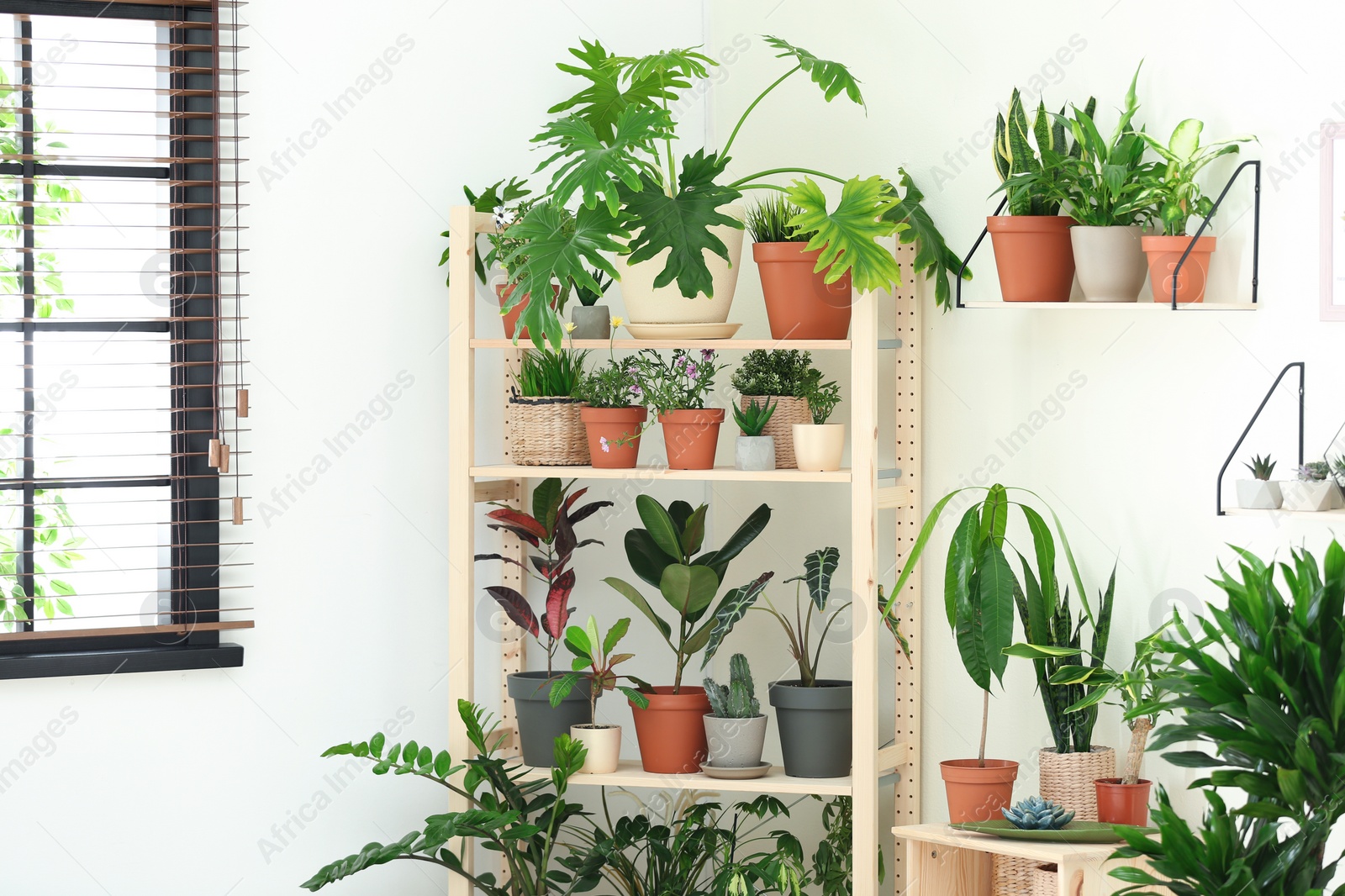 Photo of Stylish room interior with different home plants