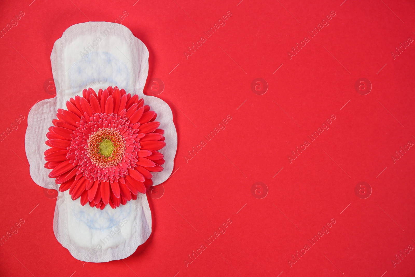 Photo of Flat lay composition with menstrual pad and flower on color background. Gynecological checkup