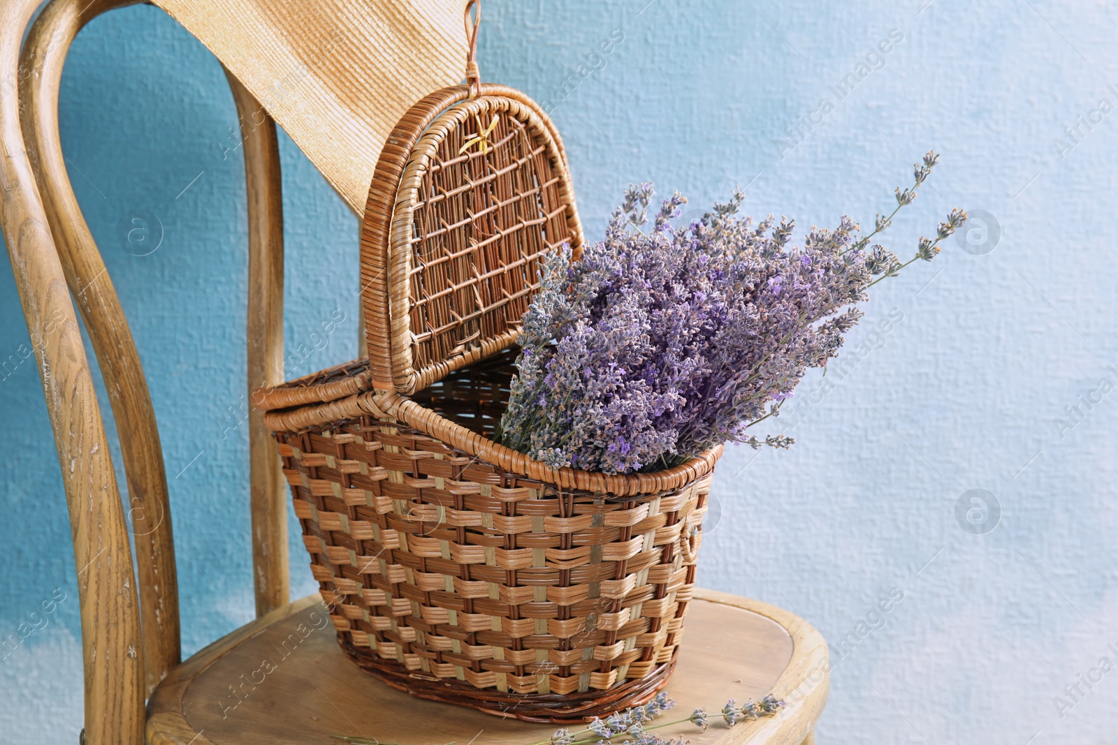 Photo of Wicker basket with lavender flowers on chair against color background