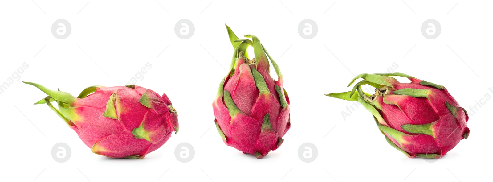 Image of Set with delicious pink dragon fruits (pitahaya) on white background. Banner design