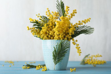 Beautiful mimosa flowers on light blue wooden table