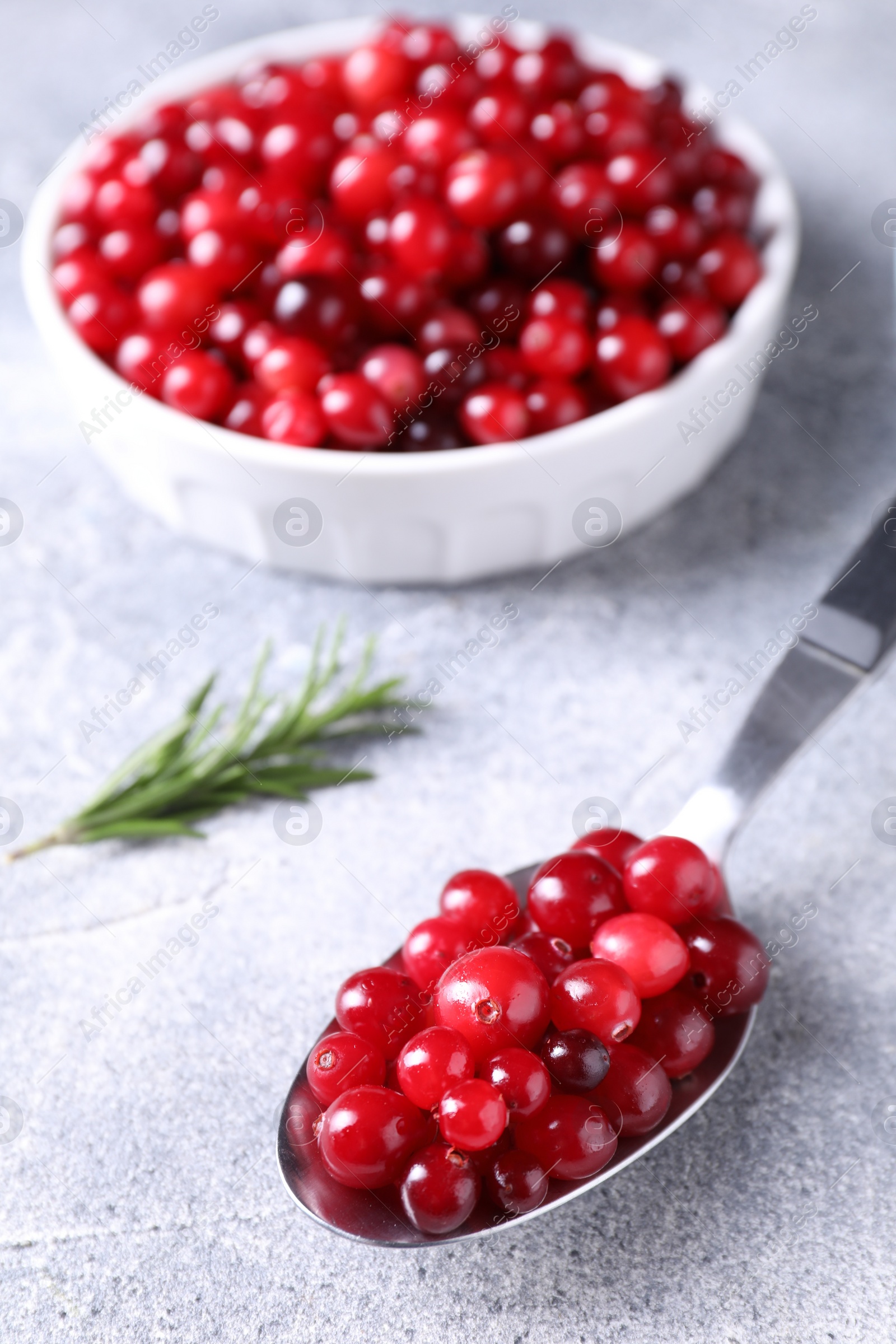 Photo of Fresh ripe cranberries on grey table, closeup