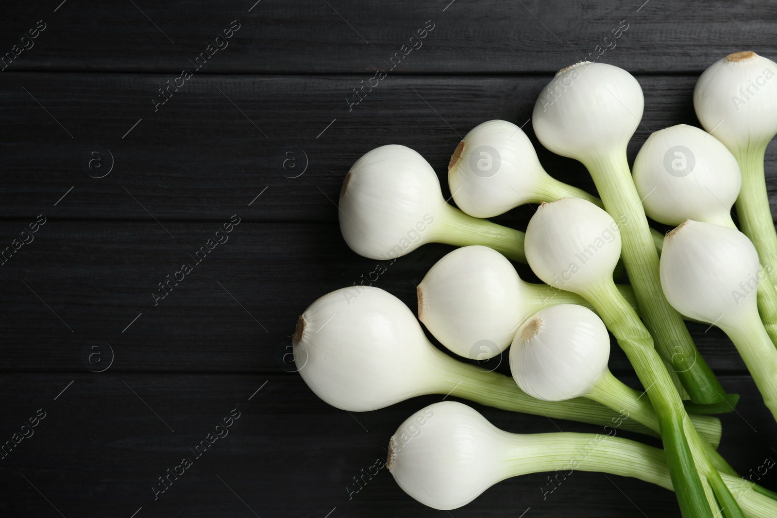 Photo of Whole green spring onions on black wooden table, flat lay. Space for text