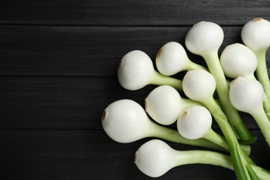 Whole green spring onions on black wooden table, flat lay. Space for text