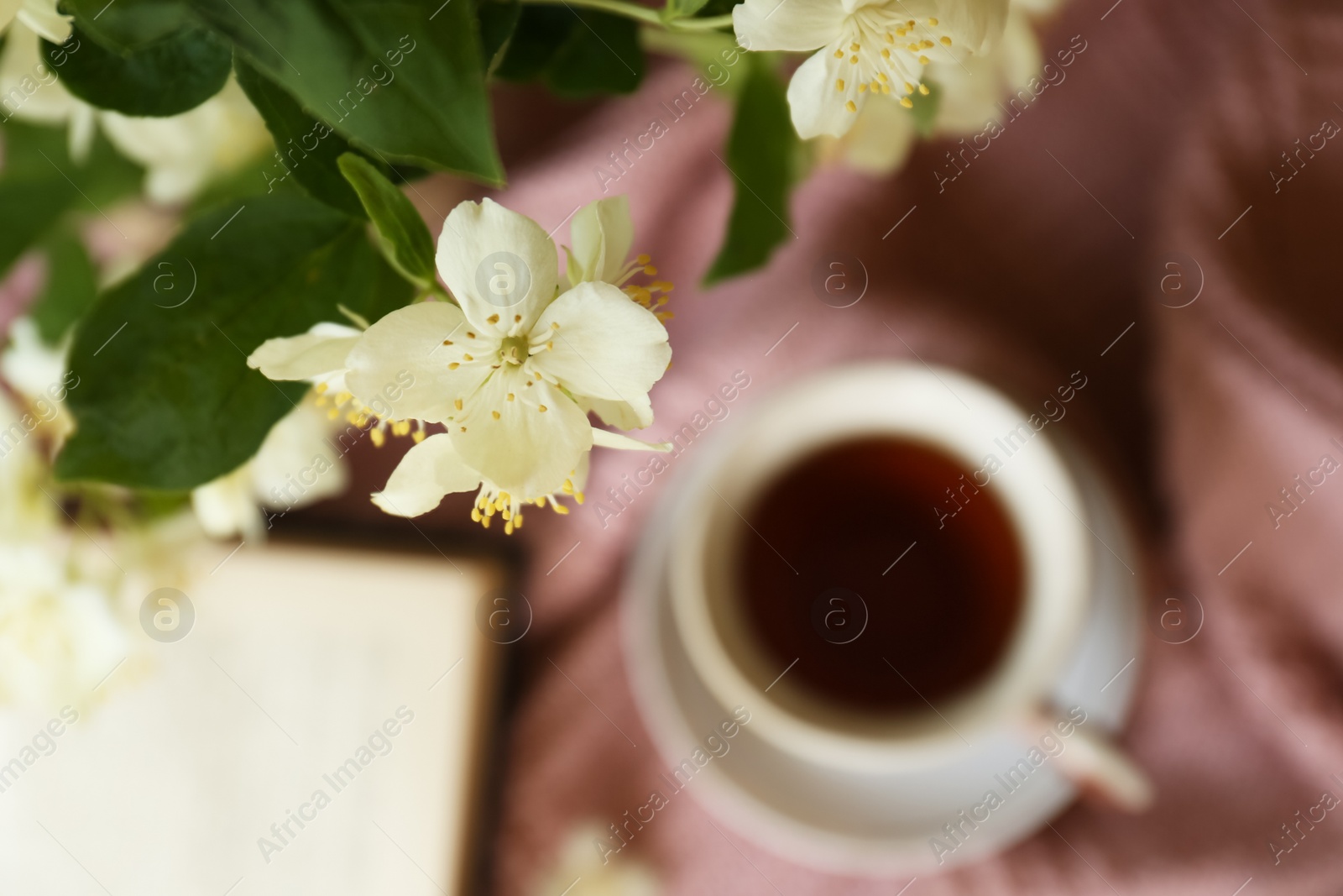 Photo of Branch of jasmine plant with beautiful white flowers on blurred background, top view. Space for text