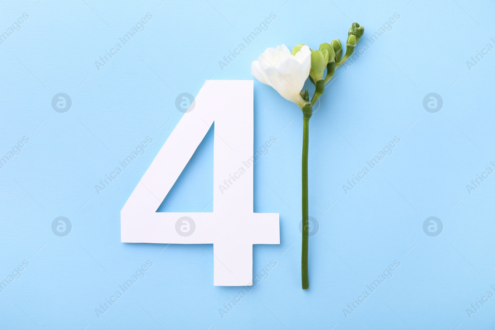 Photo of Paper number 4 and beautiful flower on light blue background, top view