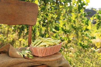 Photo of Wicker basket with fresh green beans on wooden chair in garden