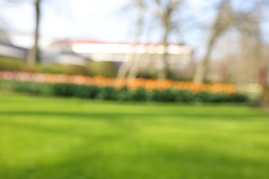 Blurred view of beautiful park on sunny day