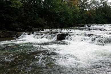 Photo of Picturesque view of beautiful river flowing near forest