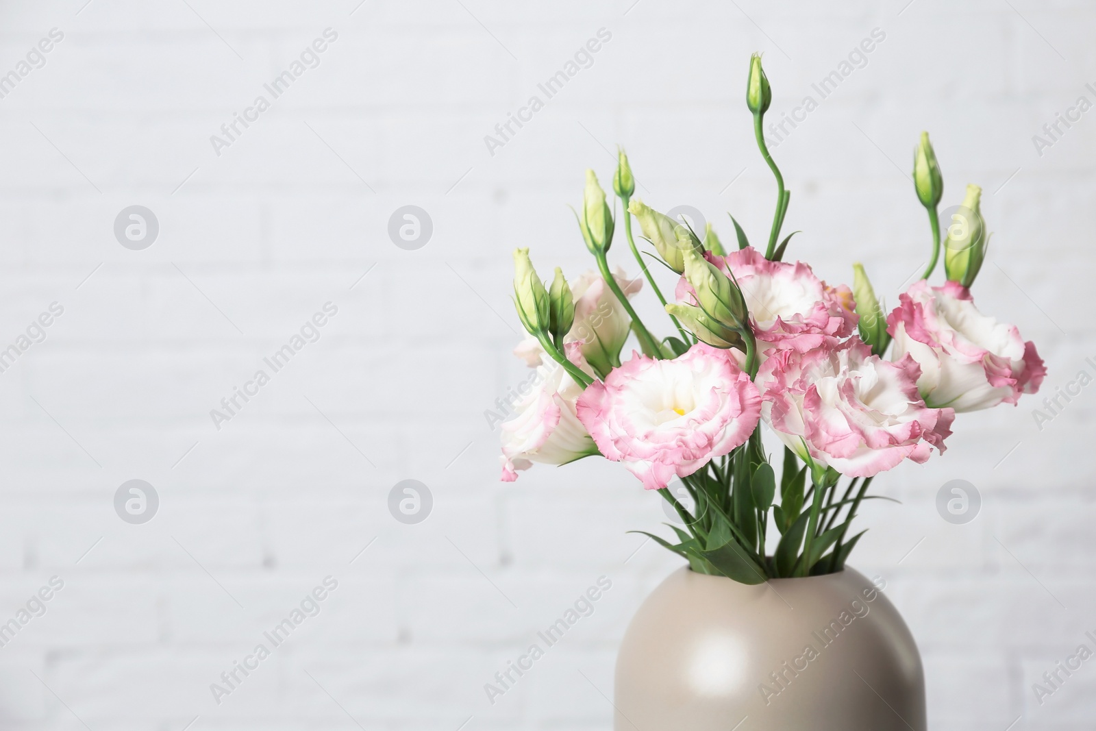 Photo of Beautiful flowers in vase and space for text on blurred background. Element of interior design