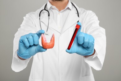 Photo of Endocrinologist showing thyroid gland model and blood sample on light grey background, closeup